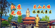 腿抬高艹江苏无锡灵山大佛旅游风景区