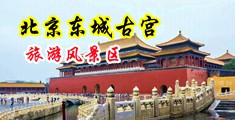 大黑逼被大屌操中国北京-东城古宫旅游风景区